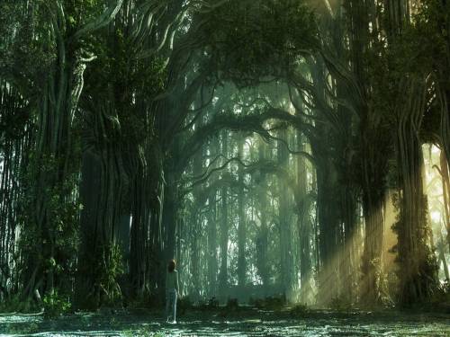 Wallpaper image: The sun light of Forest, Nature, 3D Digital Art, Landscape scenery forest, woods countryside land woodland scene backdrop Magic the supernatural wooded area, enchantment jungle wonderful tree-plant magical. Digital images, 3d art computer artwork pictures, modern digital design painting.