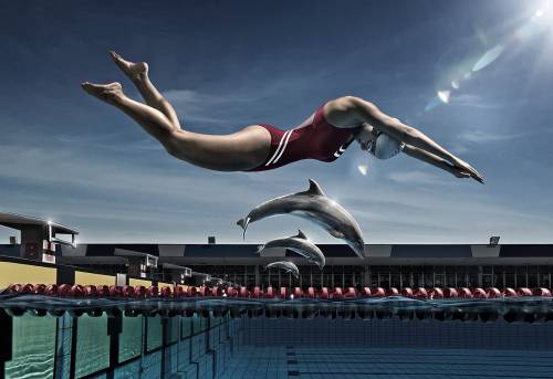 Wallpaper image: Dolphin swimmer Europe games, Surreal Art, Photo Manipulation, Photoshop wallpaper photo color creative original sports game athlete sportsman games health sportsperson sportsman contestant competitor team member desktop computer background paint advertisement advertising funny image picture photograph imaginative