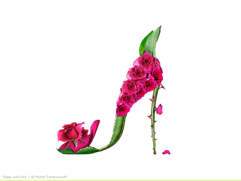 Free computer desktop wallpaper:Shoe Fleur exquisiteness, Photo Manipulation 