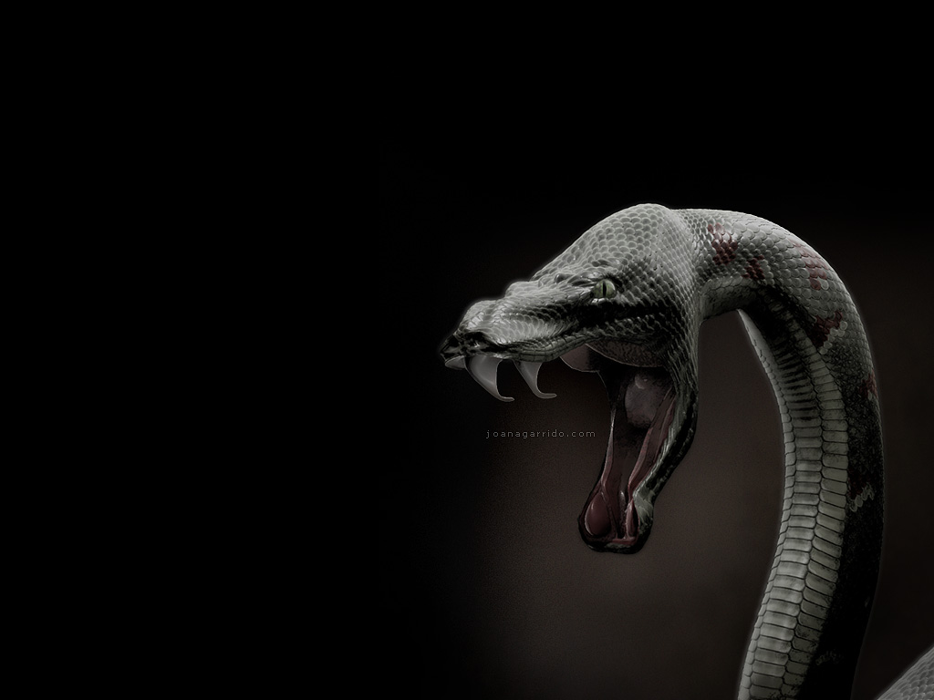 desktop wallpaper:Snake design, 3D Digital Art, Nature, Snake design ...