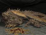 Gold Dragons, Fantasy Art, 3D Digital Art