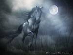 A Wild Moon, Fantasy Art, Mixed Media graphic design