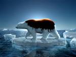 GreenPeace Polar Bear, Nature, 3D Digital Art