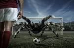 Spider goalkeeper Europe football, Surreal Art, Photo Manipulation