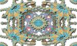 Fractal ornamental design, Abstract, 2D Digital Art