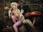 Oblivion Forest, Fantasy Art, Photo Manipulation