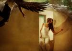 Borrowed Wings, Fantasy Art, Photo Manipulation