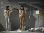 The vitruvian girl golden ratio, Mixed Style, Photo Manipulation