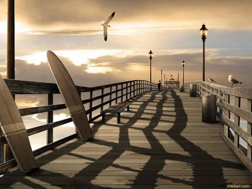 Wallpaper image: Sunny Day, Mixed Style, Mixed Media, Pier, flying, daytime, outside, bird, sun, sunset surf boards shadows. Low, coast, ebb, rocky shack, pier, rustic, walkway dock, shed tide silhouettes, evening, daylight, day, outdoors shore, remote, pilings, wooden, isolated, elevated.