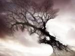 Mystical Tree, Nature, 2D Digital Art
